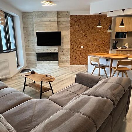 Coca Apart Mountain View Sinaia Ngoại thất bức ảnh