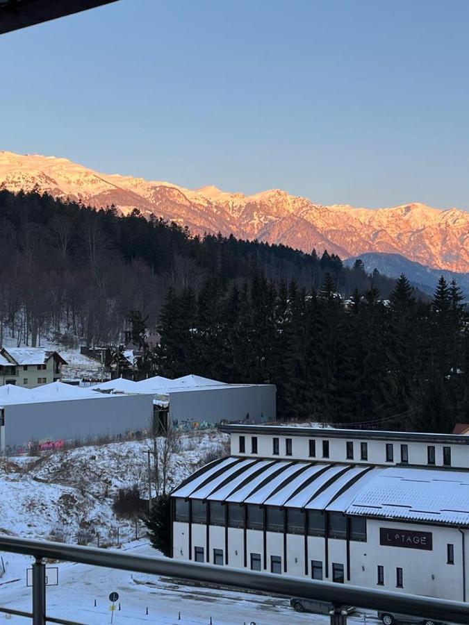 Coca Apart Mountain View Sinaia Ngoại thất bức ảnh