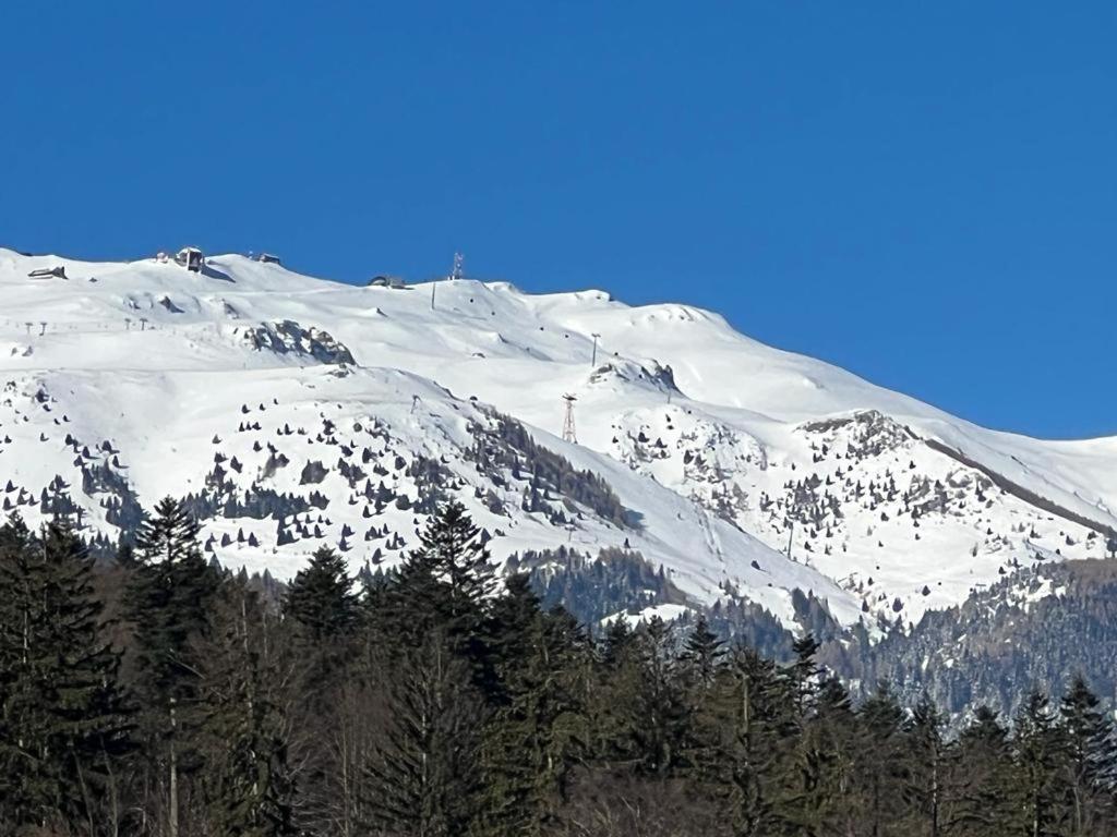 Coca Apart Mountain View Sinaia Ngoại thất bức ảnh