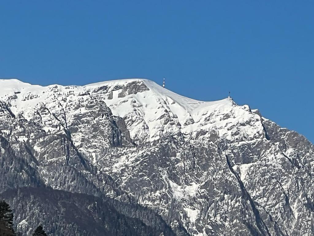 Coca Apart Mountain View Sinaia Ngoại thất bức ảnh