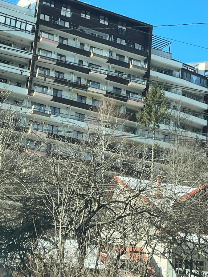 Coca Apart Mountain View Sinaia Ngoại thất bức ảnh