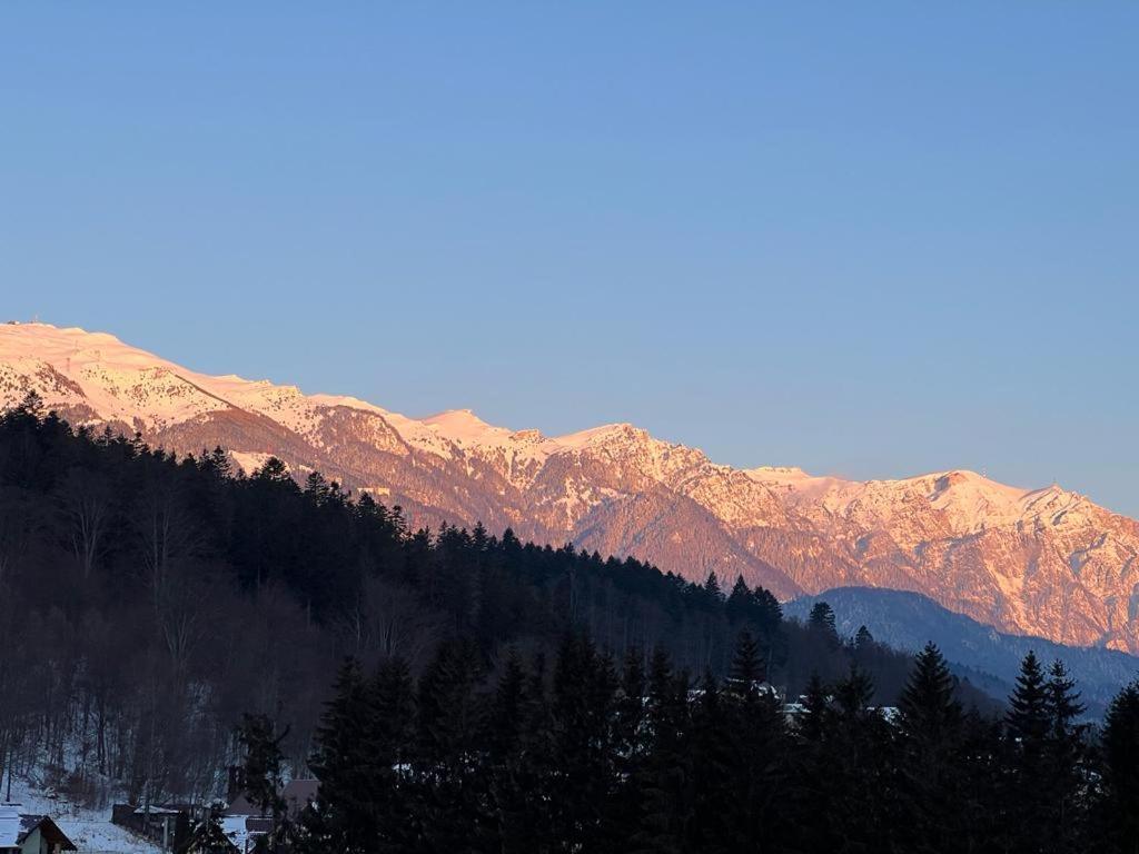 Coca Apart Mountain View Sinaia Ngoại thất bức ảnh