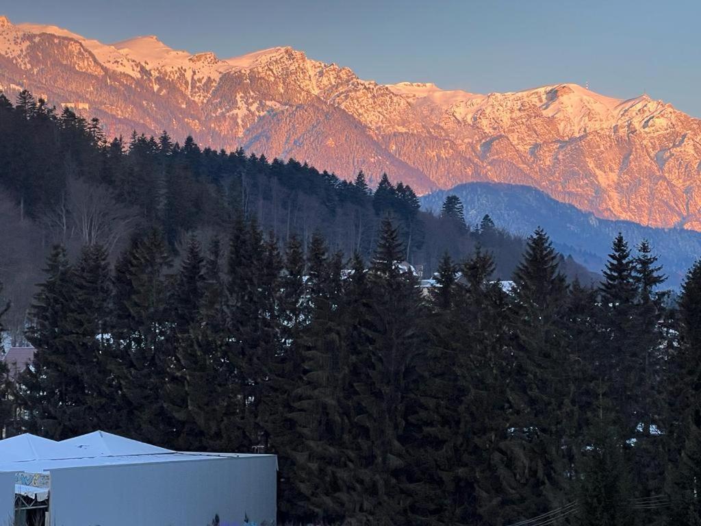 Coca Apart Mountain View Sinaia Ngoại thất bức ảnh