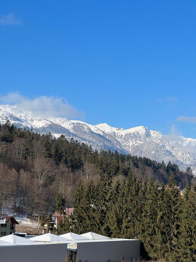 Coca Apart Mountain View Sinaia Ngoại thất bức ảnh