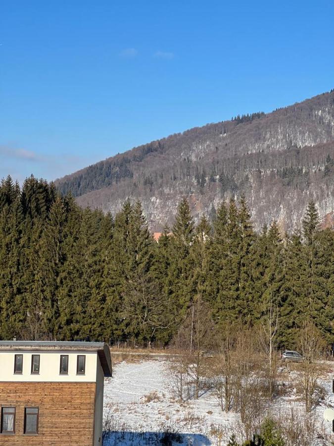 Coca Apart Mountain View Sinaia Ngoại thất bức ảnh