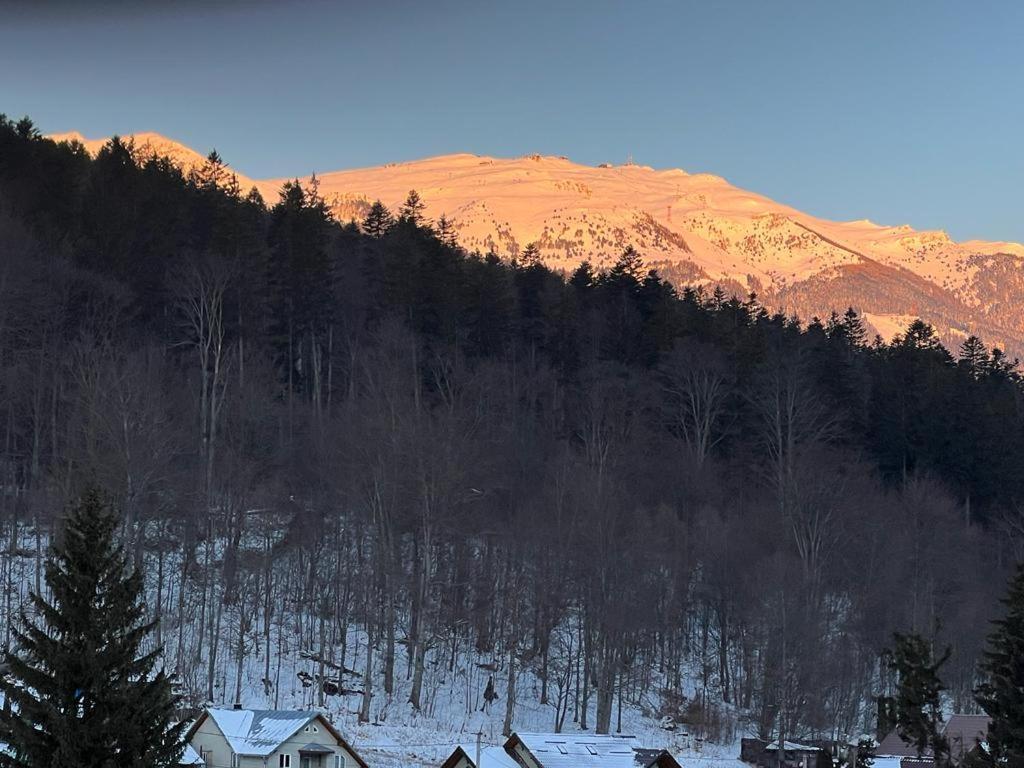 Coca Apart Mountain View Sinaia Ngoại thất bức ảnh