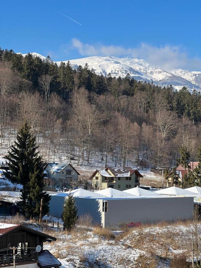 Coca Apart Mountain View Sinaia Ngoại thất bức ảnh