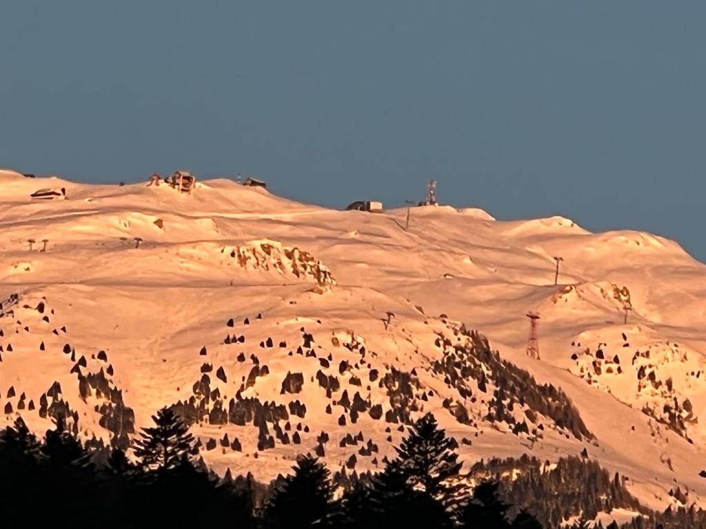 Coca Apart Mountain View Sinaia Ngoại thất bức ảnh