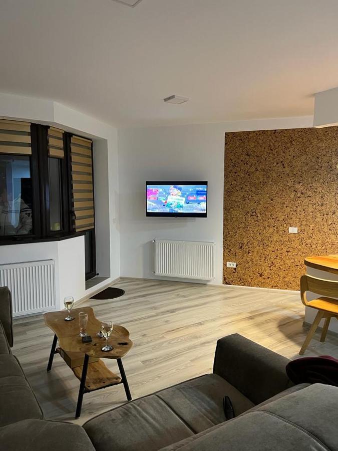 Coca Apart Mountain View Sinaia Ngoại thất bức ảnh