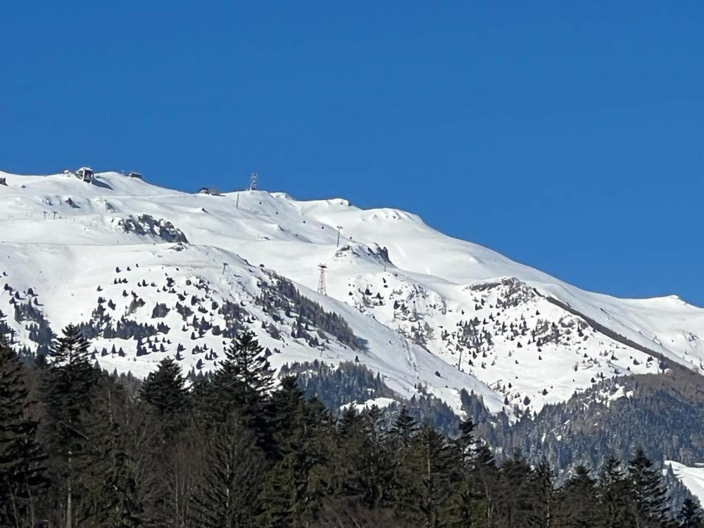 Coca Apart Mountain View Sinaia Ngoại thất bức ảnh