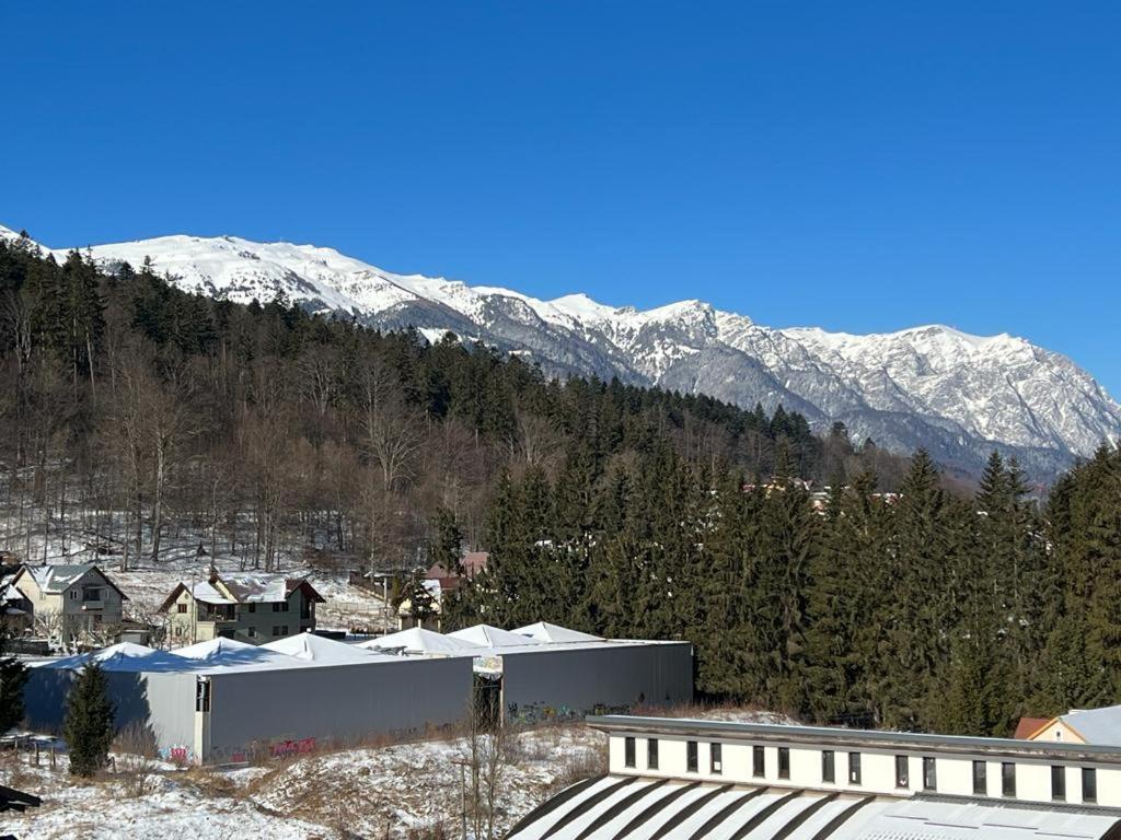Coca Apart Mountain View Sinaia Ngoại thất bức ảnh