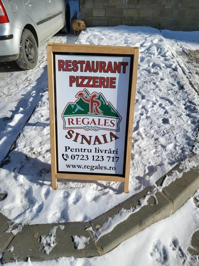 Coca Apart Mountain View Sinaia Ngoại thất bức ảnh