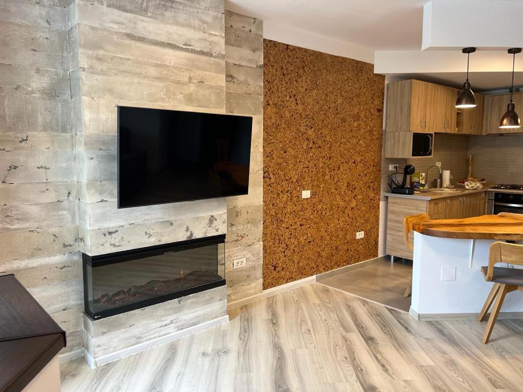 Coca Apart Mountain View Sinaia Ngoại thất bức ảnh
